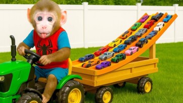 Monkey baby playing with toy cars