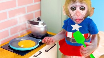 Monkey Playing in Kitchen With Play-Doh