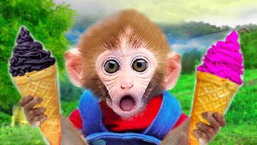 Baby Monkey Surprise Ice Cream – Cute Monkey Finds Colorful Treats